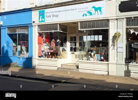 charity shops in york|RSPCA York Shop .